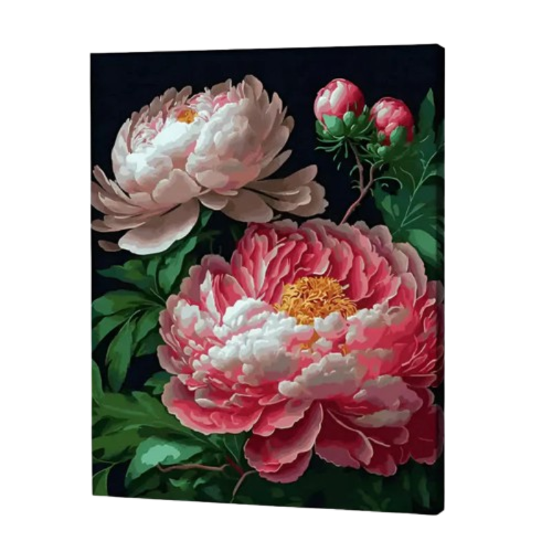 New Arrivals Paint By Numbers Australia