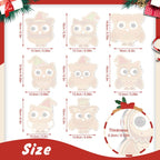 Christmas Owl Friends Ornaments Paint by Numbers