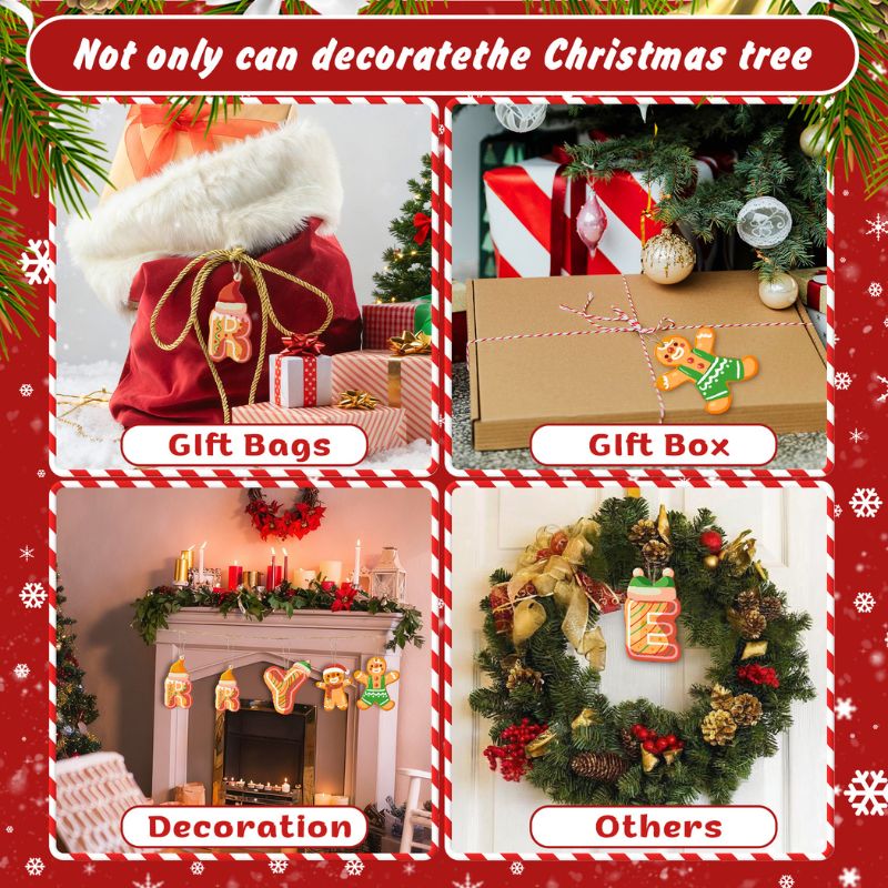 Merry Cookie Crew Ornaments Paint by Numbers