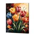 Sunset Tulip Garden Paint by Numbers