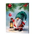 Winterlight Magic Gnome Paint by Numbers