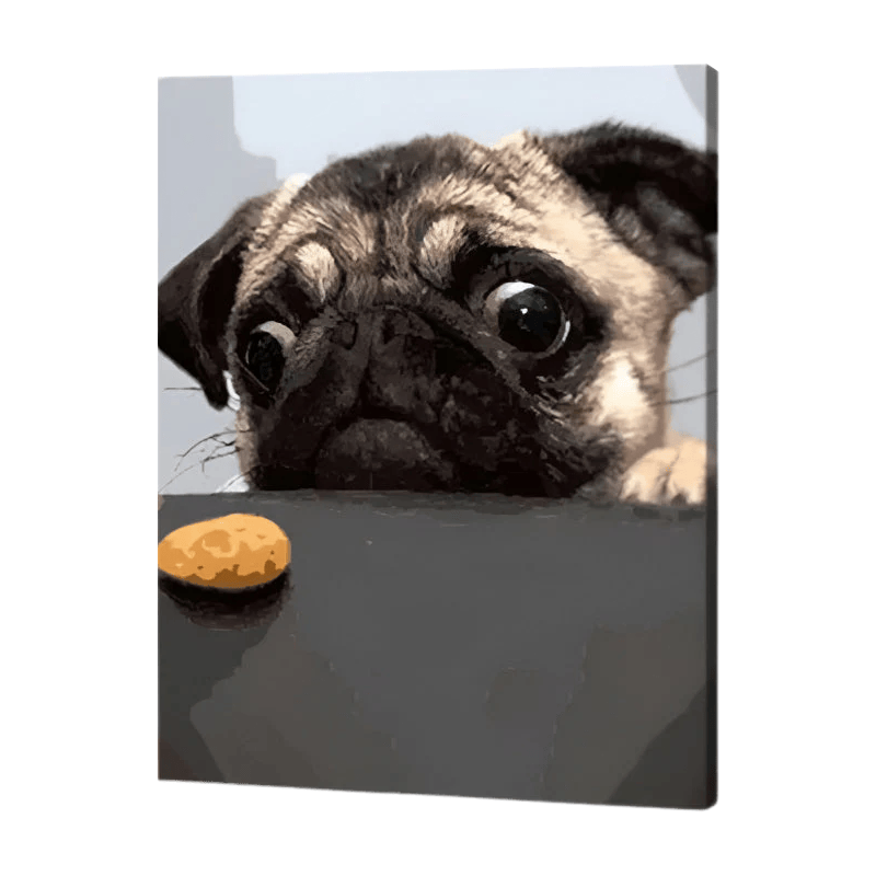 Hungry Dog Paint by Numbers
