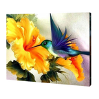Little Hummingbird Paint by Numbers